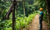 Canopy Tours in Belize: Exciting Zip Lining Adventures