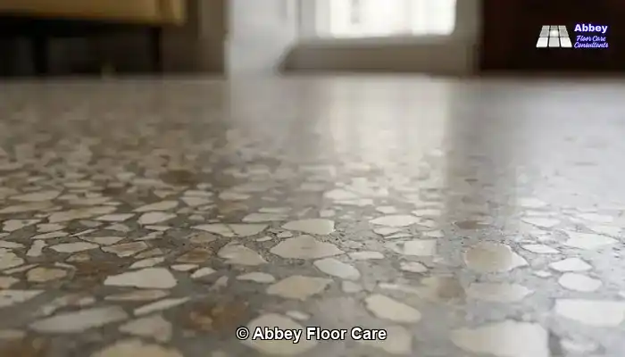 Close-up of terrazzo showing marble chips and aged cement binder with tonal variation.