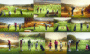 Golf Lessons in South Africa: Your Ultimate Selection Guide