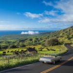 Scenic Routes and Hidden Gems: Maui Upcountry Road Trip