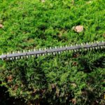 Best Practices for Hedge Trimming in Marston Magna