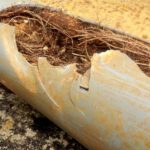 Pipe Relining: Effective Solution for Tree Roots in Drains