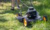 Grass Cutting Services in Ilchester: Tips from the Experts
