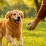Thyroid Imbalance in Older Pets: Essential Causes and Care