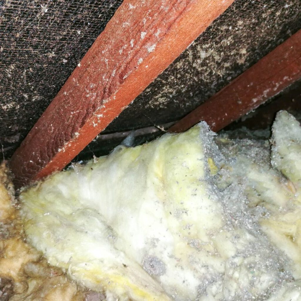 Asbestos Concerns: Essential Tips for Selecting Skip Hire Services