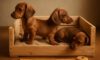 Puppy Comfort: Design a Cosy Crate for Your Dog
