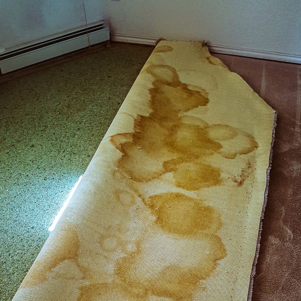Carpet Disposal in Sydney: Easy Underlay Solutions