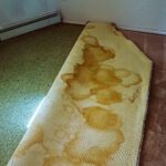 Carpet Disposal in Sydney: Easy Underlay Solutions