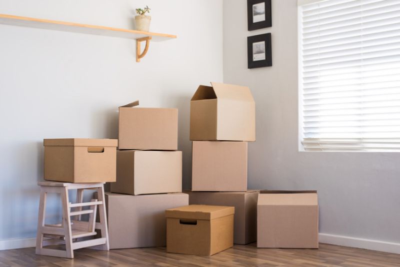 Flat Clearance Exeter: Expert Tips and Support