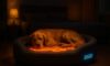 Temperature-Controlled Beds for Pets: Optimal Comfort Solutions