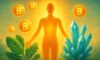 Clean Energy Supplements: Enhance Your Energy Smartly