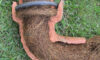 Tree Roots in Drains: Solutions for Sutherland Shire Problems