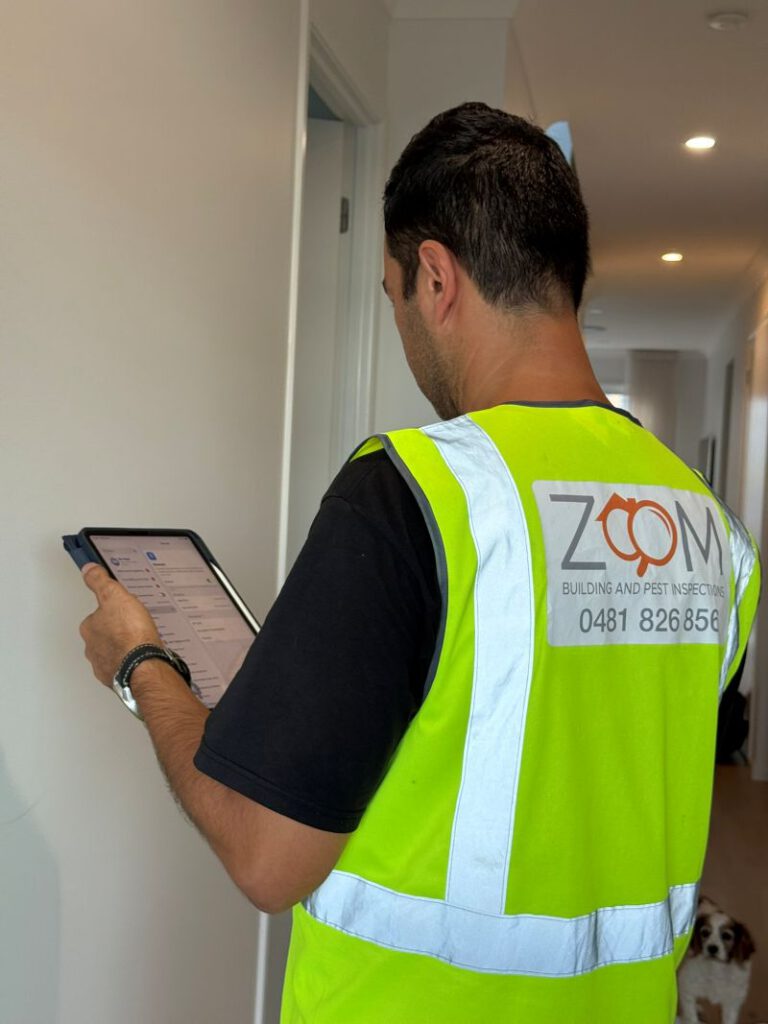 Building and Pest Inspection in Brisbane: Your Essential Guide